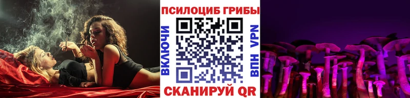 Галлюциногенные грибы Psilocybe  нарко площадка официальный сайт  Алексин  купить  цена 