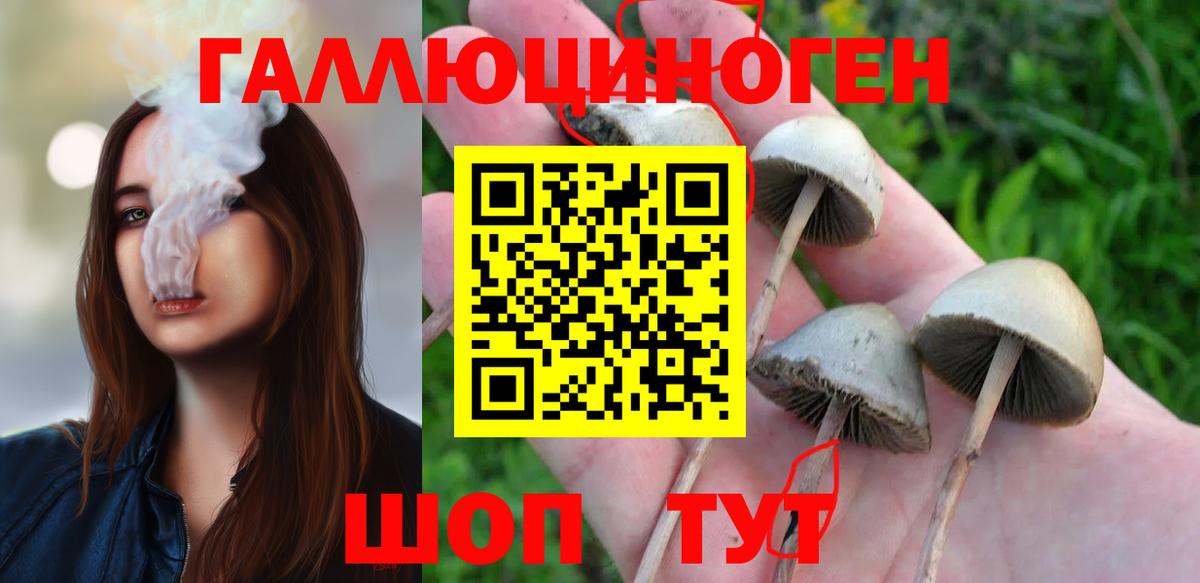 Галлюциногенные грибы ЛСД  Вход с VPN  Псилоцибиновые грибы ЛСД  Алексин 