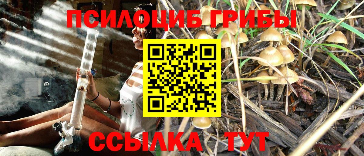 Псилоцибиновые грибы Cubensis Алексин